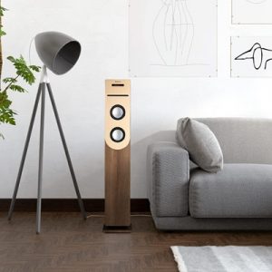 Lee más sobre el artículo Qué tener en cuenta al comprar una torre de sonido